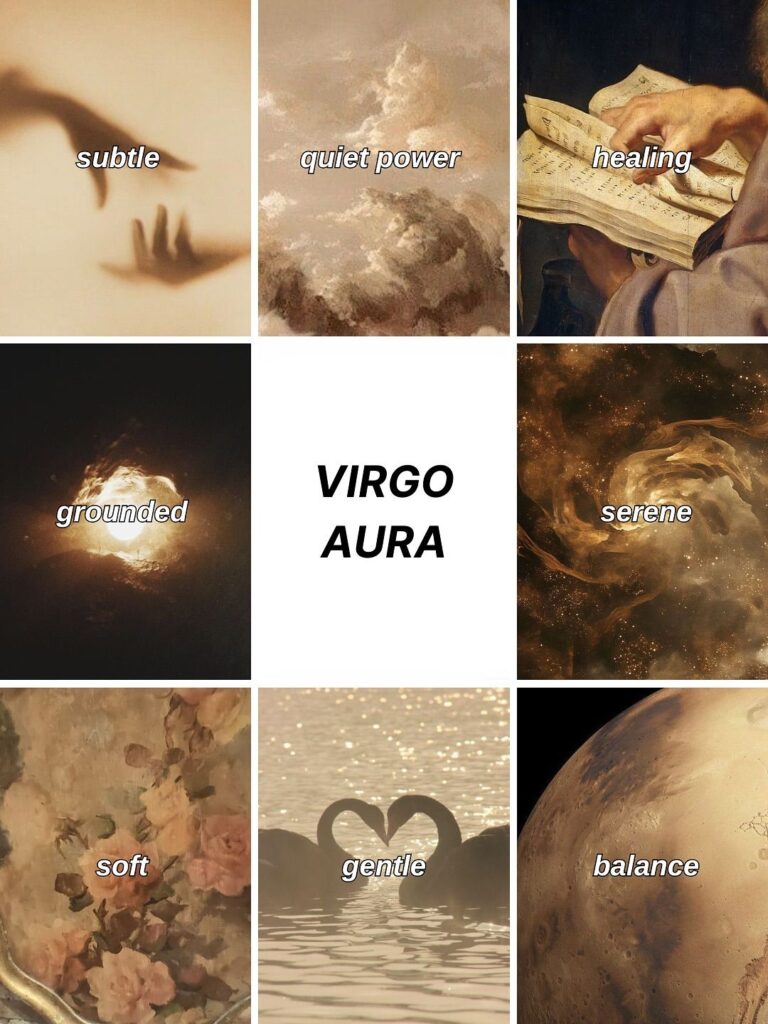 Zodiac Signs Daily Horoscope Today