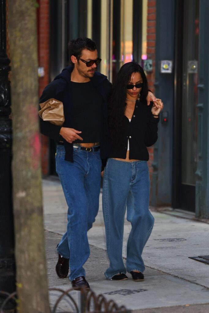 Harry Styles and Zoë Kravitz